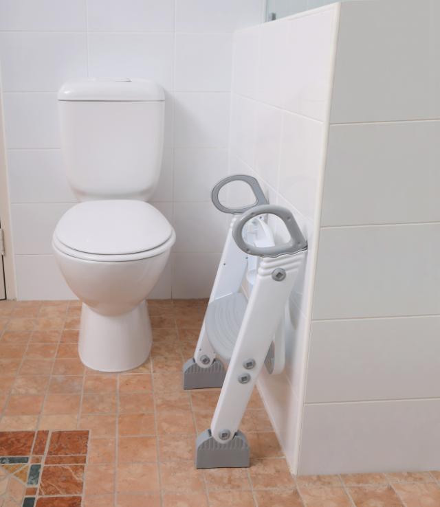 DREAMBABY STEP-UP TOILETSTIGE M/ 2 TRIN - HVID