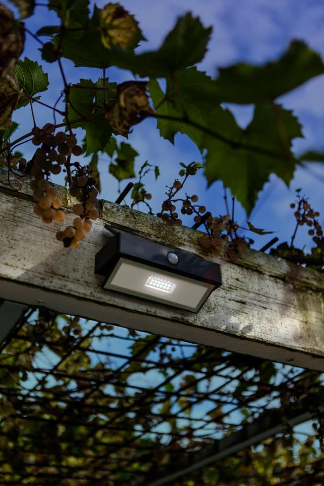 *LUTEC SOLSTEL SENSOR LAMPE