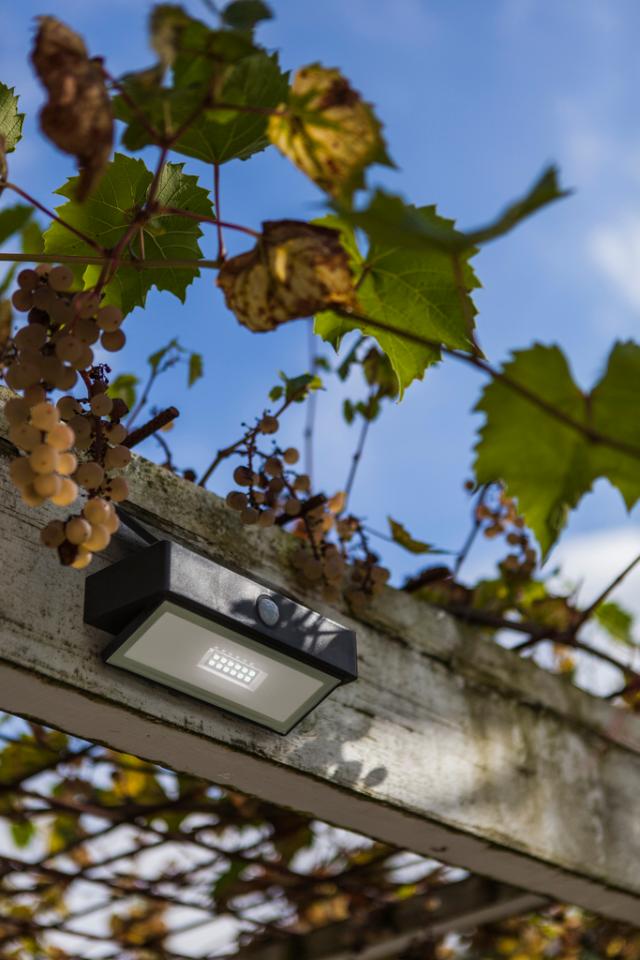 *LUTEC SOLSTEL SENSOR LAMPE