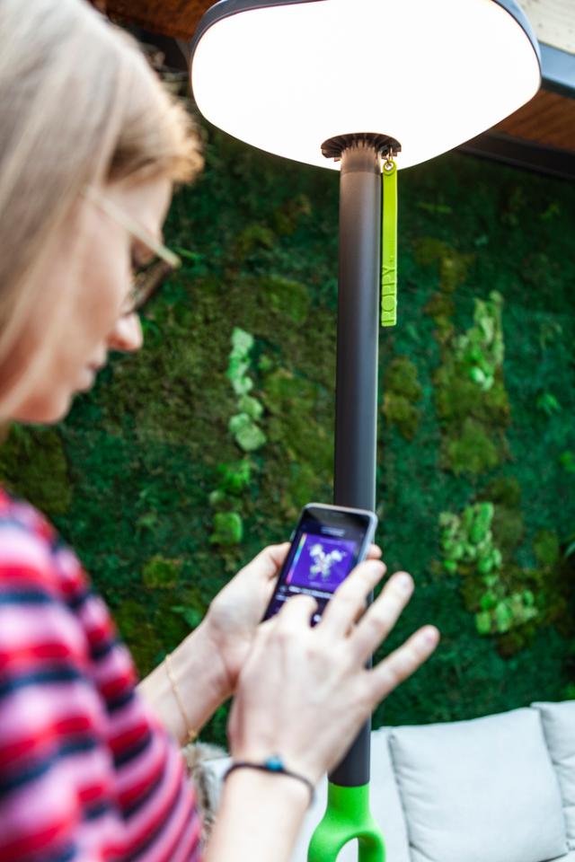 *LUTEC POPPY SOLAR LAMPE