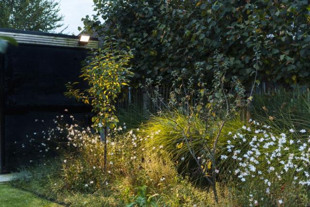 LUTEC ATLANTIS MEDIUM LED VÆGLAMPE 1 LYS MØRKEGRÅ 4000K