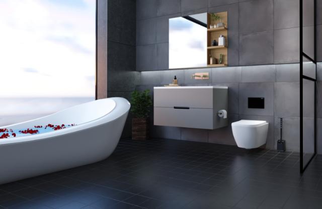 SANIMAID DUBLIN TOILETBØRSTE - MAT SORT