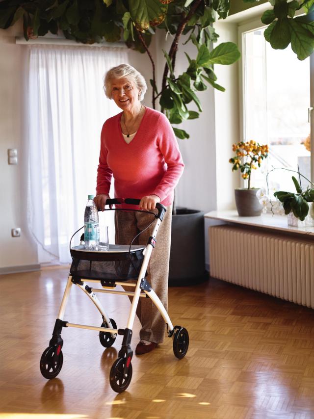 RIDDER ASSISTENT ROLLATOR  M/ KURV - ANTRACIT