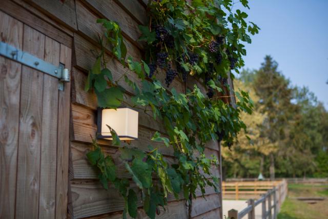 LUTEC ARCHITECTURAL DOBLO VÆGHÆNGT LAMPE