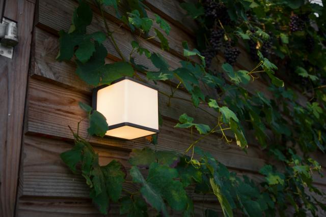 LUTEC ARCHITECTURAL DOBLO VÆGHÆNGT LAMPE