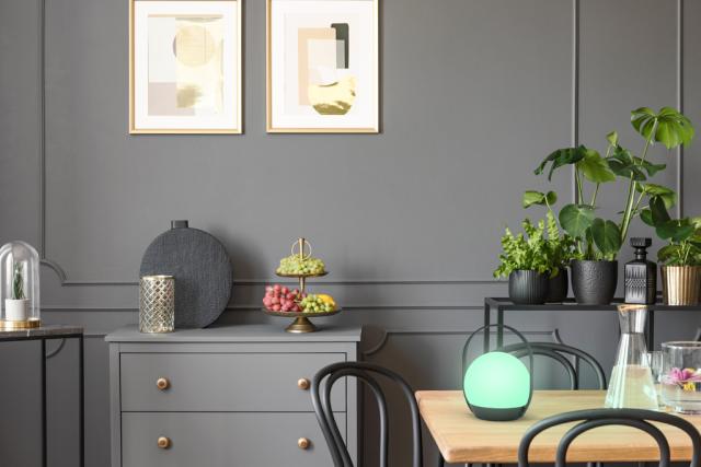 *LUTEC CARDI LAMPE SORT