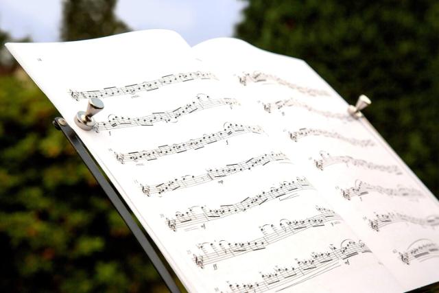 CONNEX NEODYMIUM MAGNET KROG GREB 2 STK - KROM